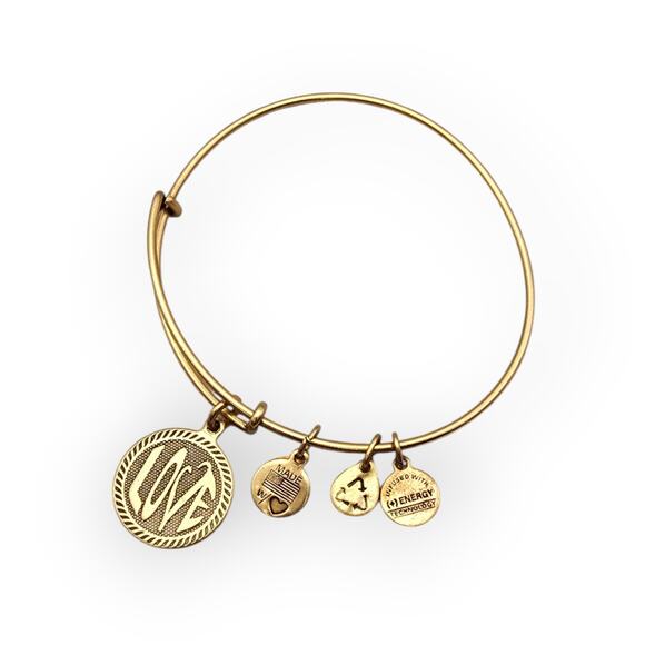 Alex and Ani Gold-Tone “WE” Charm Bangle Bracelet – 2012 - Picture 1 of 6